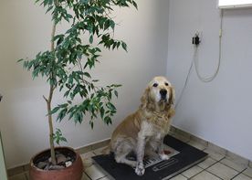 Tierklinik Rinteln